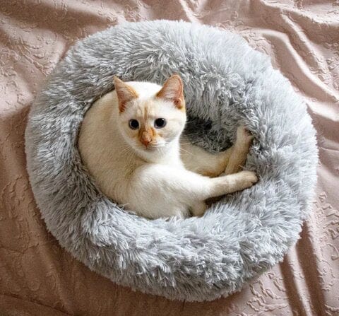 Cozy Fluff Calming Bed for Pets