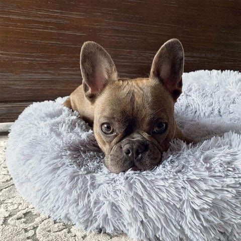 Cozy Fluff Calming Bed for Pets