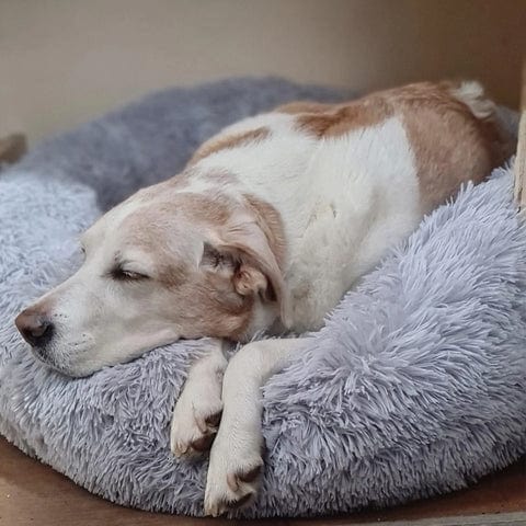 Cozy Fluff Calming Bed for Pets