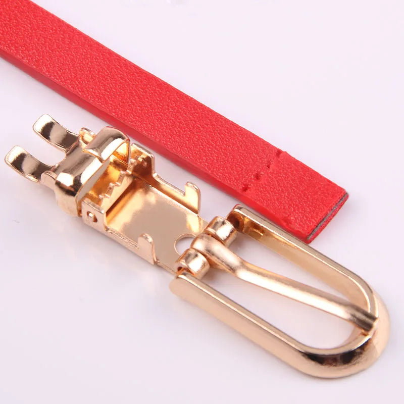 Fashionable Women’s Thin Waist Buckle Belt