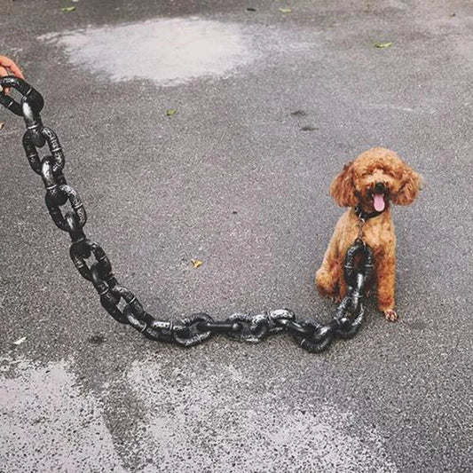 Viral Durable Plastic Dog Traction Chain Leash