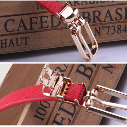 Fashionable Women’s Thin Waist Buckle Belt